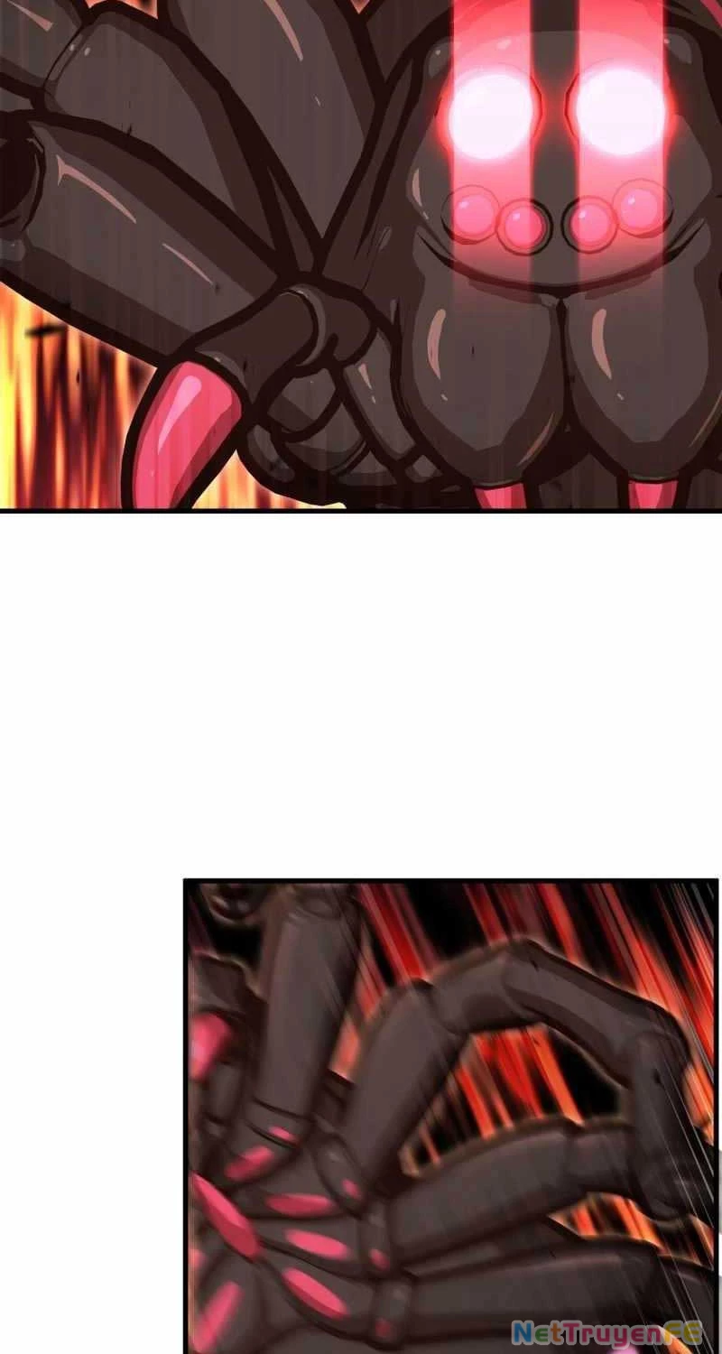 Vô tình ghi danh Chapter 18 - Trang 3