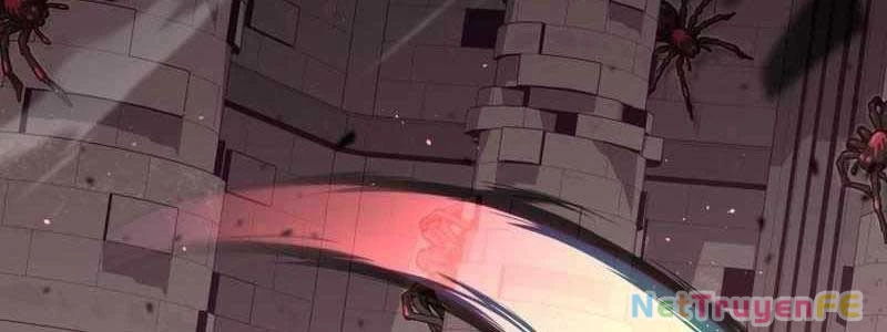 Vô tình ghi danh Chapter 18 - Trang 3