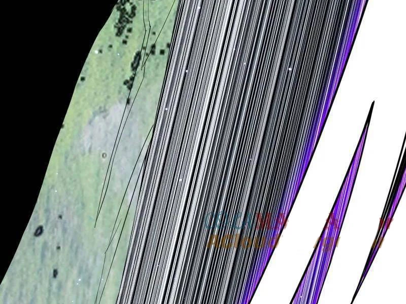 Ta Là Tà Đế Chapter 519 - Trang 4