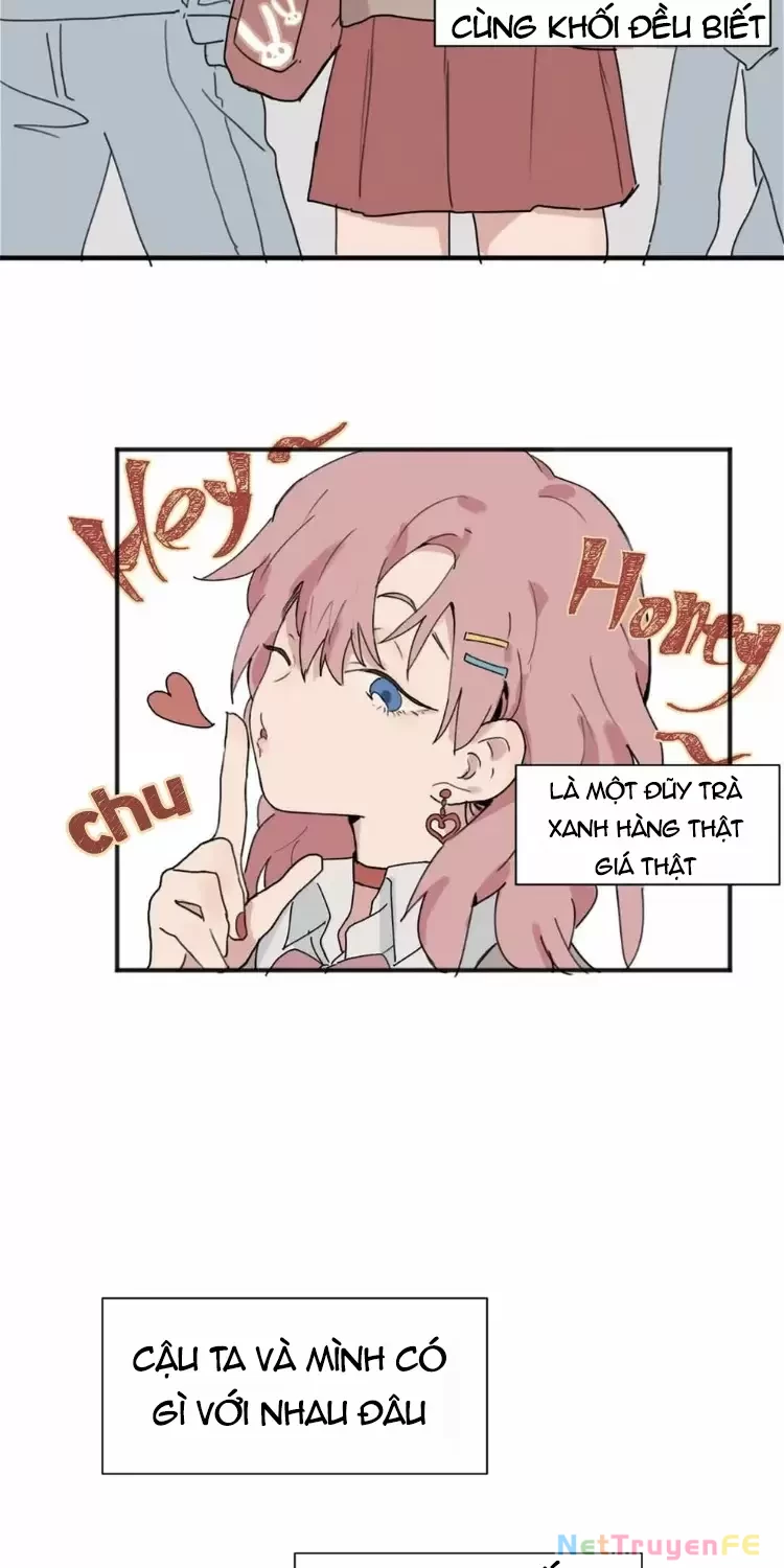 Tôi Bị Cô Nàng “Trà Xanh” Cùng Lớp Uy Hiếp Chapter 1 - Trang 3