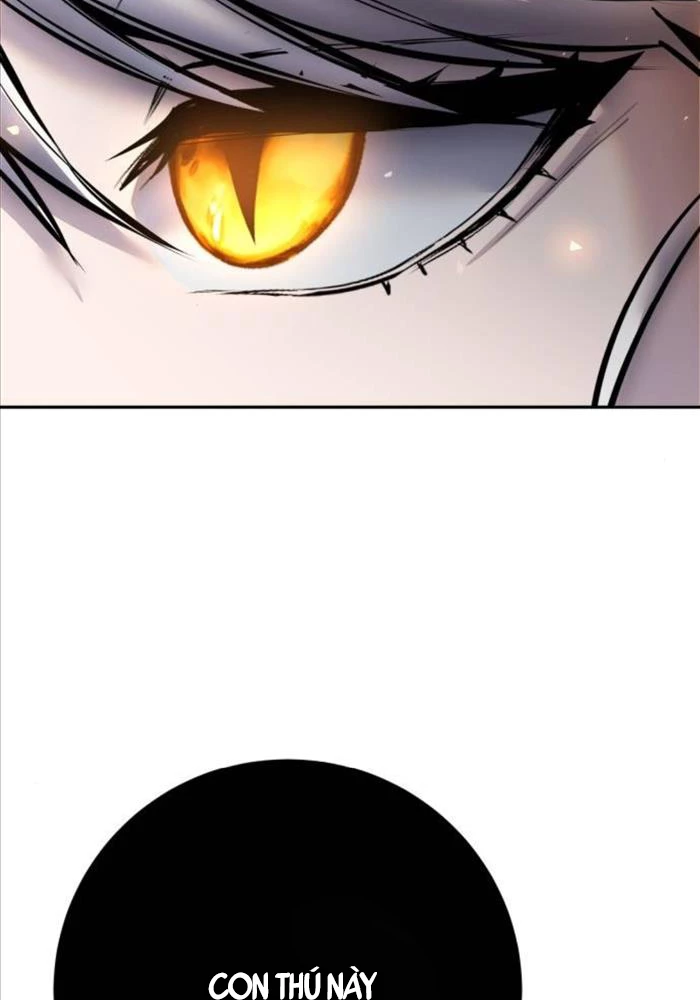 Tôi Mạnh Hơn Anh Hùng Chapter 68 - Trang 4