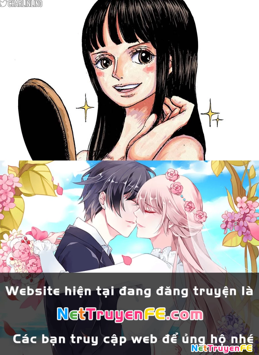 One Piece Chapter 1131 - Trang 4