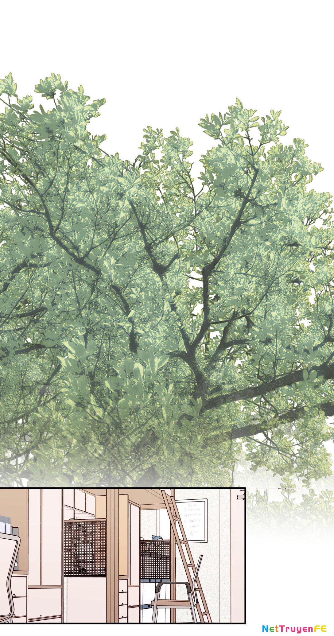 Lắng nghe những vì sao Chapter 49 - Trang 2