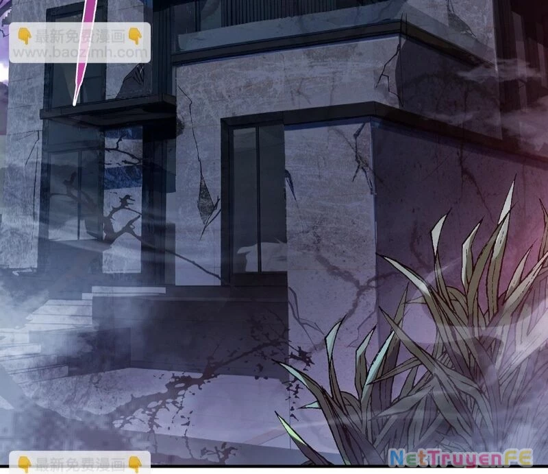 Các Nữ Đồ Đệ Của Ta Đều Là Chư Thiên Đại Lão Tương Lai Chapter 255 - Trang 4