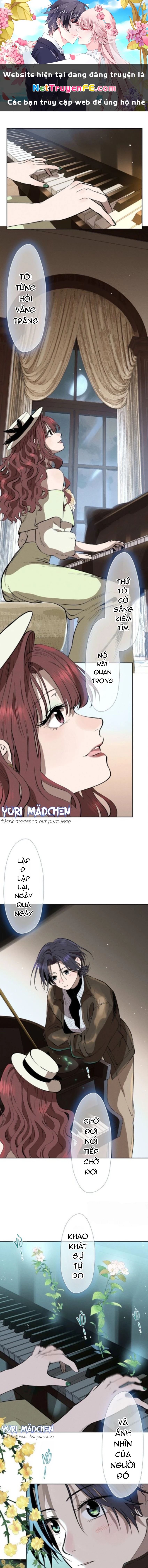 Khúc Hát Vượt Trần Thế Chapter 11 - Next Chapter 12