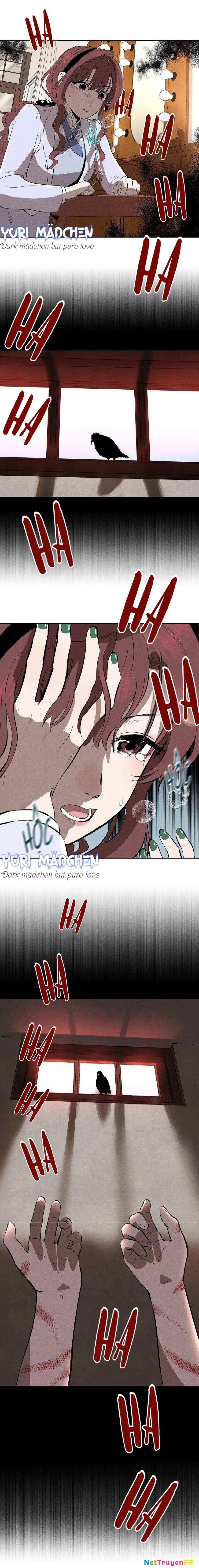 Khúc Hát Vượt Trần Thế Chapter 11 - Next Chapter 12