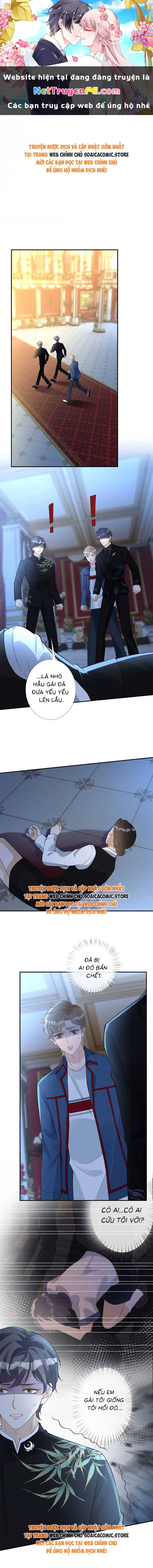 Ôm Khẩn Tiểu Mã Giáp Của Tôi Chapter 338 - Trang 4