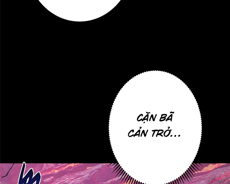 Chưởng Môn Khiêm Tốn Chút Chapter 436 - Trang 4