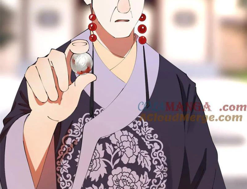 Chàng Rể Mạnh Nhất Lịch Sử Chapter 243 - Trang 4