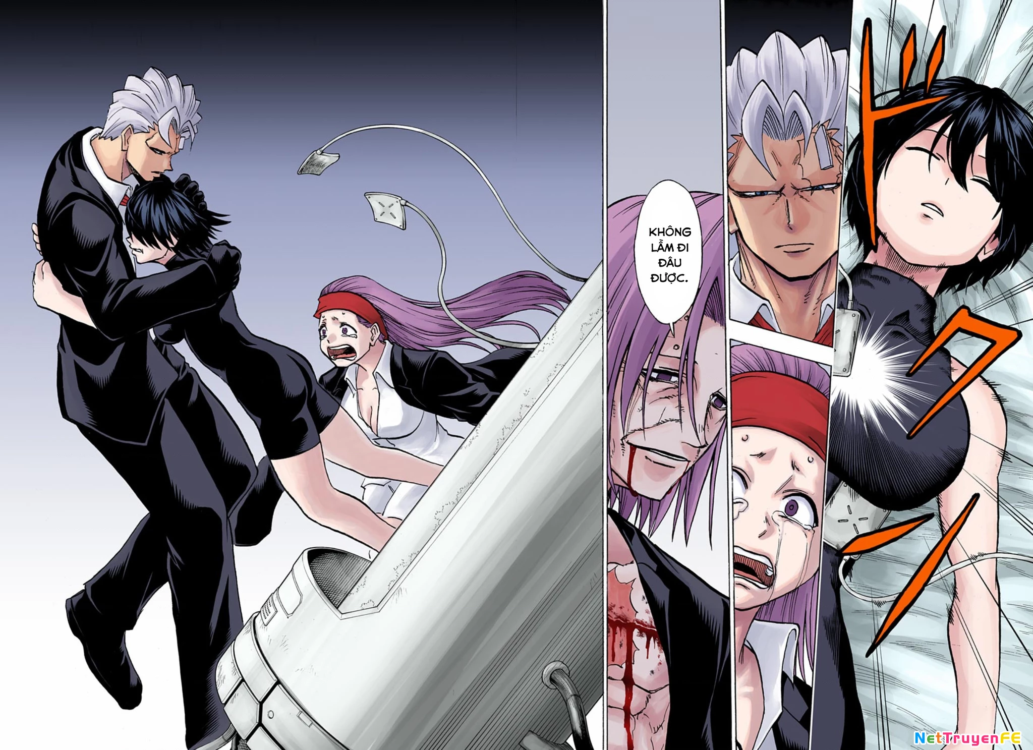 Bất Tử Và Bất Hạnh Bản Màu (Full Hd) Chapter 117 - Trang 2