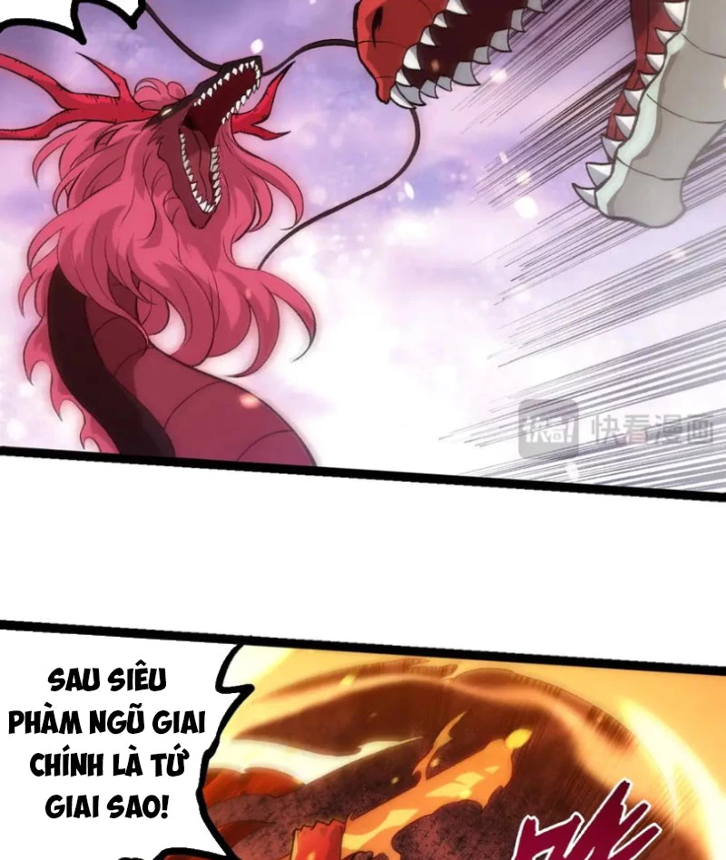 Chuyển Sinh Thành Liễu Đột Biến Chapter 296 - Trang 4