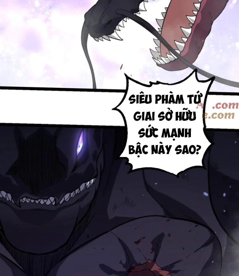 Chuyển Sinh Thành Liễu Đột Biến Chapter 296 - Trang 4