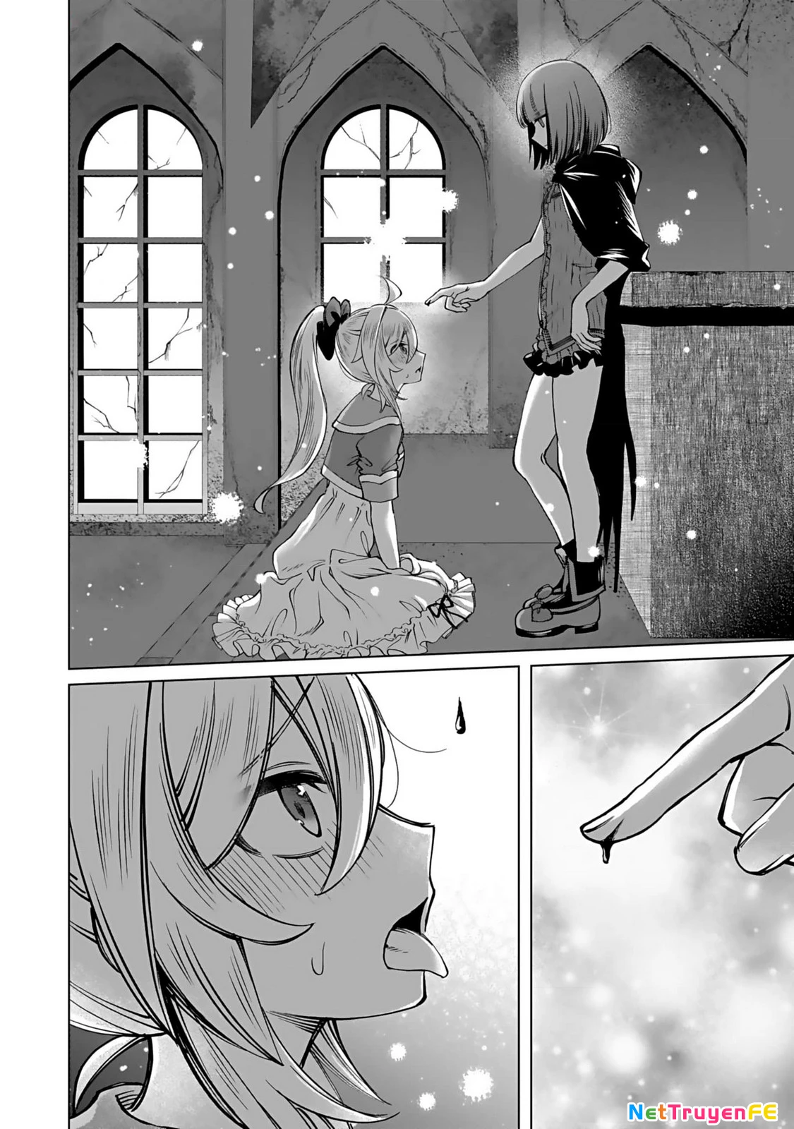 Eiyuu ni Akogareta Shoujo wa Kyuuketsuki ni Ochitemo Eiyuu o Mezasu Chapter 0 - Trang 2
