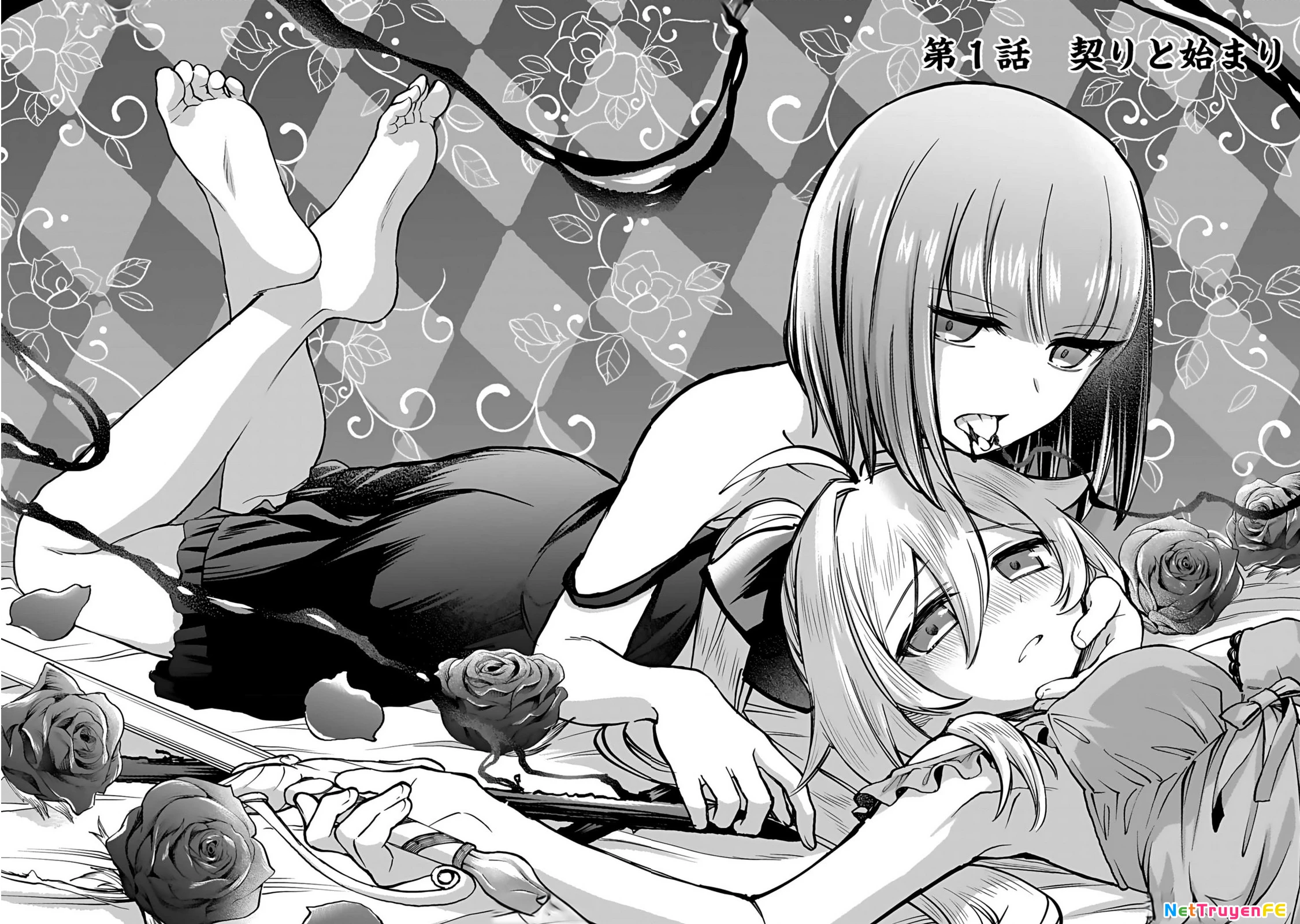 Eiyuu ni Akogareta Shoujo wa Kyuuketsuki ni Ochitemo Eiyuu o Mezasu Chapter 1 - Trang 2