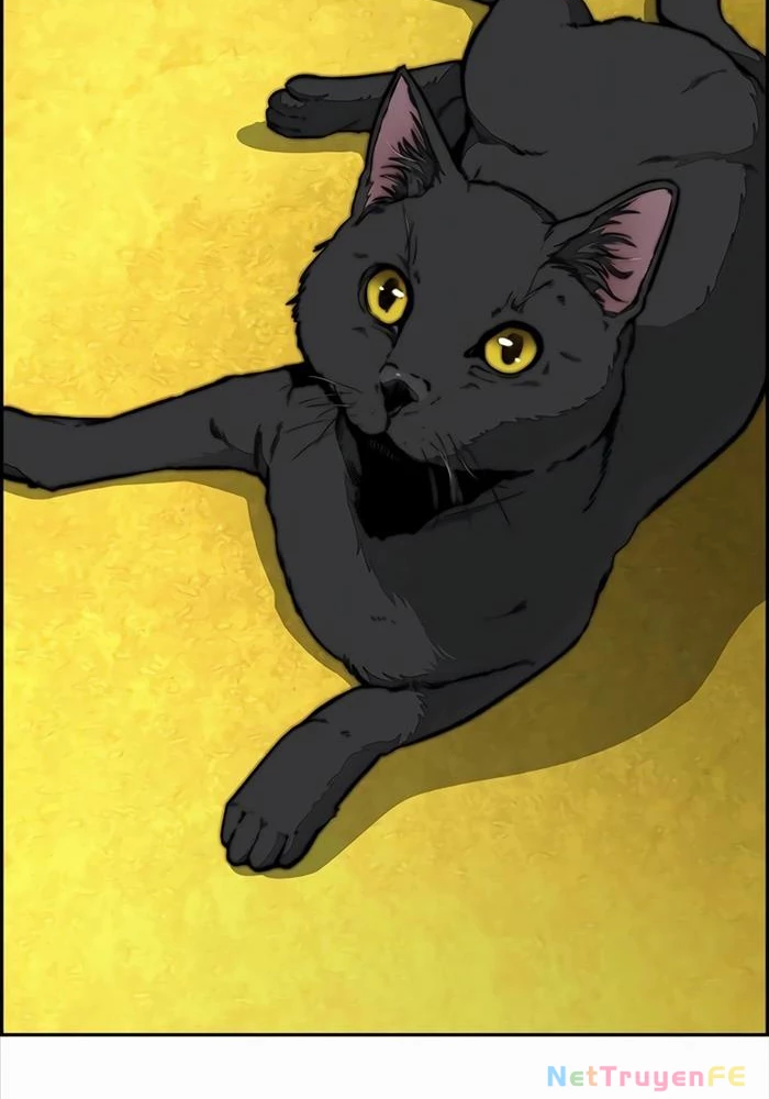 Thể Thao Cực Hạn Chapter 523 - Trang 4