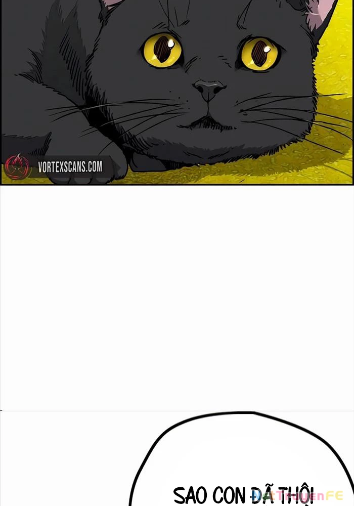 Thể Thao Cực Hạn Chapter 523 - Trang 4