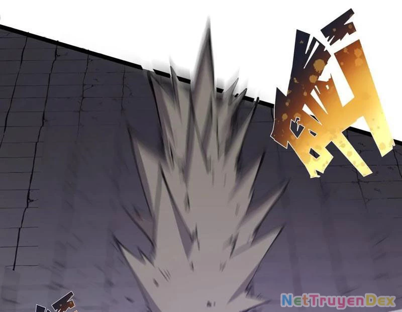 Ta Nhặt Rác Thượng Vương Giả Chapter 38 - Trang 4