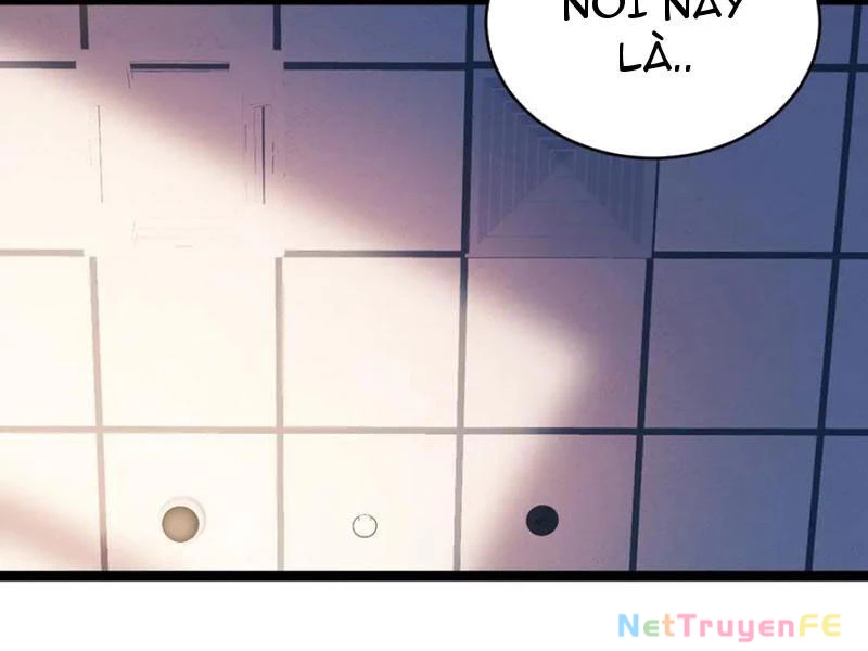 Sức Mạnh Tối Đa? Ta Lại Là Vong Linh Sư! Chapter 61 - Trang 4