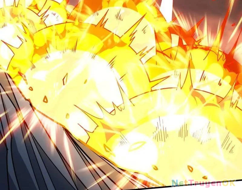 Vừa Chơi Đã Có Tài Khoản Vương Giả Chapter 489 - Trang 4