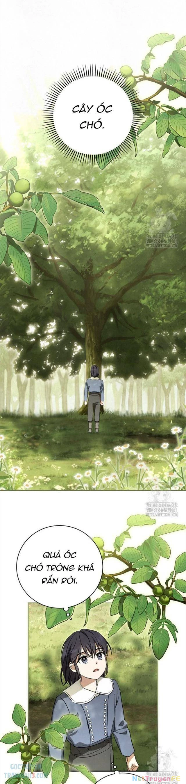 Ấn Thuật Chi Tử Chapter 30 - Trang 2