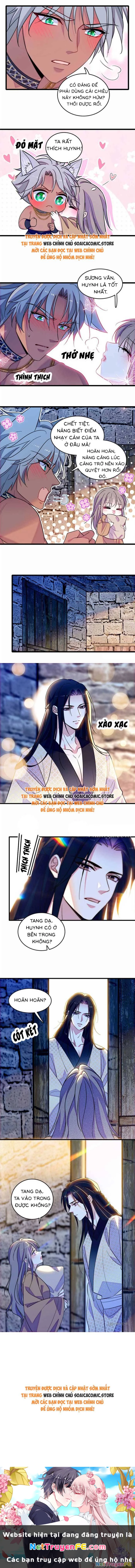 Manh Động Thú Thế Chapter 194 - Trang 4