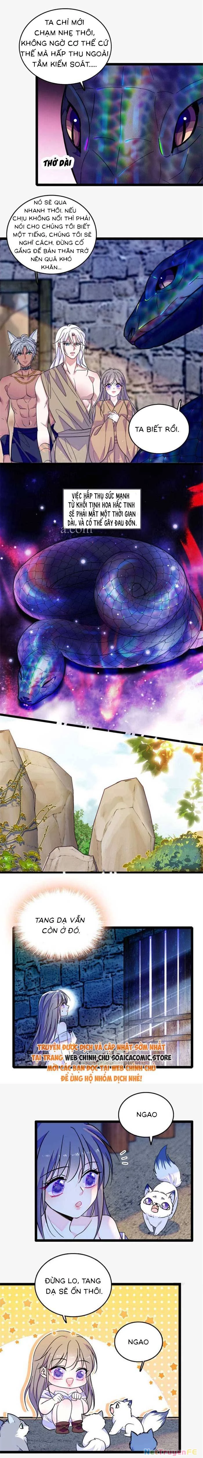 Manh Động Thú Thế Chapter 195 - Trang 4