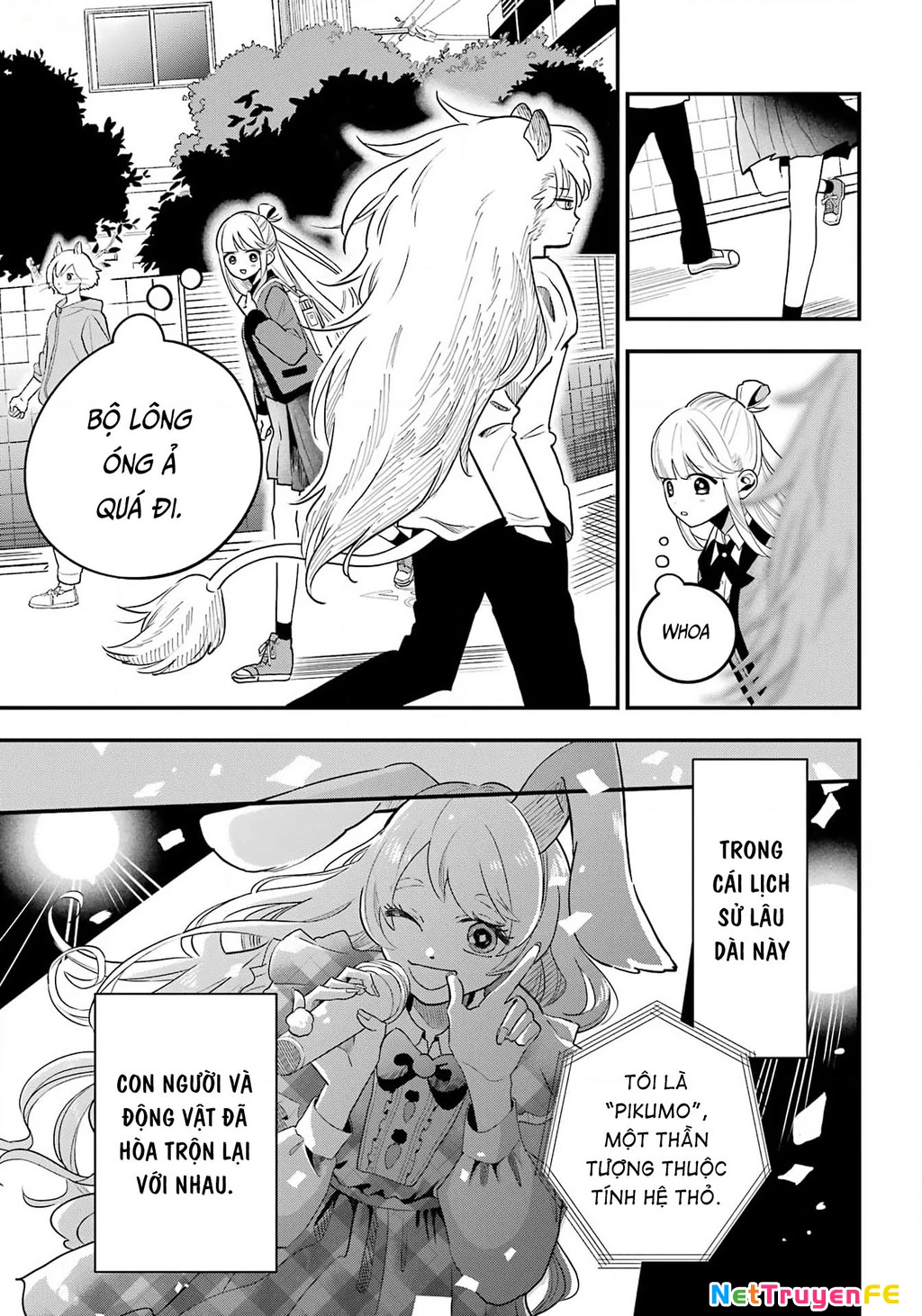 Bí mật của cậu người sói Chapter 1 - Trang 3