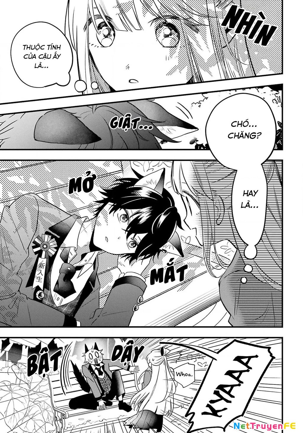 Bí mật của cậu người sói Chapter 1 - Trang 3