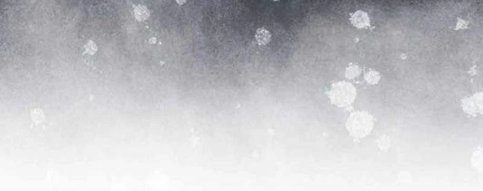 Thiên Tài Võ Thuật Hồi Quy Chapter 59 - Trang 4