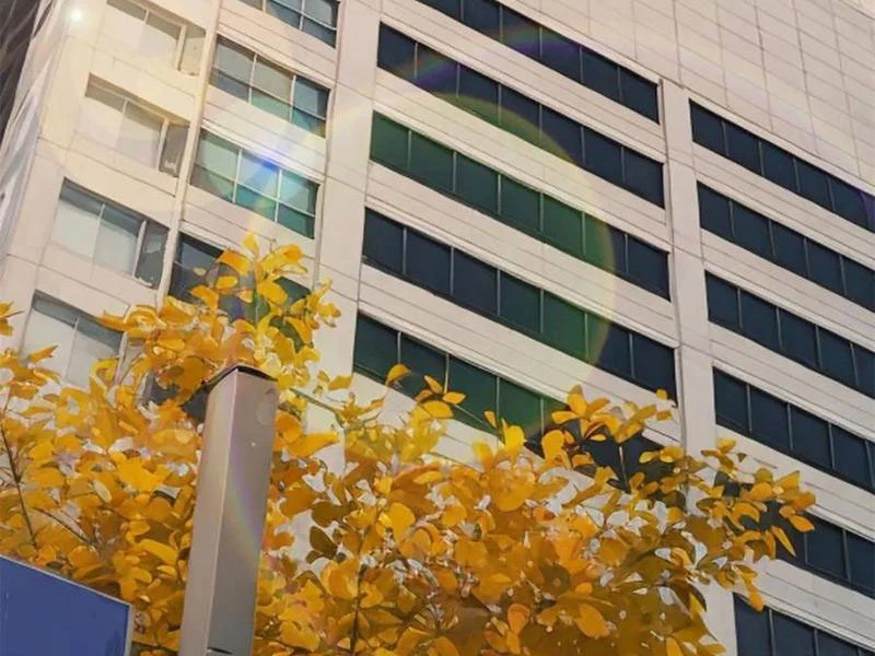 Trọng Sinh Không Làm Chạn Vương, Tôi Một Mình Nạp Game Thăng Cấp Chapter 160 - Trang 4