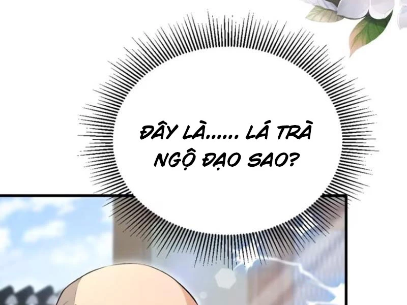 Hoá Ra Ta Đã Vô Địch Từ Lâu Chapter 204 - Trang 4