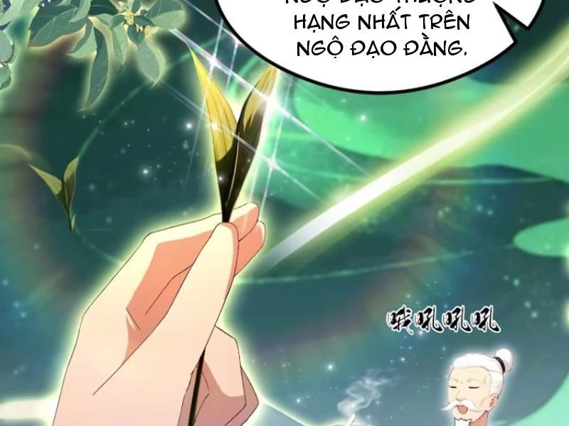 Hoá Ra Ta Đã Vô Địch Từ Lâu Chapter 204 - Trang 4