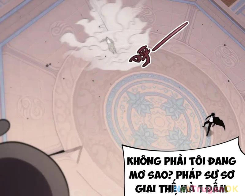 Sức Mạnh Tối Đa? Ta Lại Là Vong Linh Sư! Chapter 62 - Trang 4