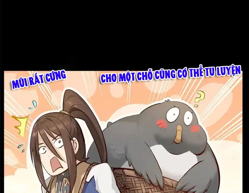 Đỉnh Cấp Khí Vận, Lặng Lẽ Tu Luyện Ngàn Năm Chapter 191 - Trang 2