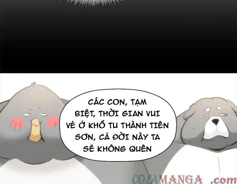 Đỉnh Cấp Khí Vận, Lặng Lẽ Tu Luyện Ngàn Năm Chapter 191 - Trang 2