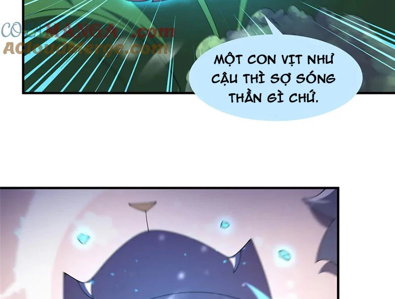 Thần Sủng Tiến Hóa Chapter 359 - Trang 4