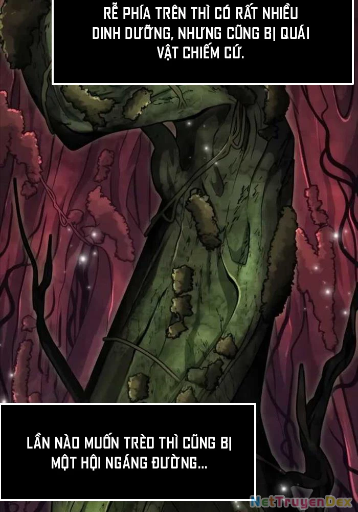 Chiến Binh Hồi Quy Chapter 54 - Trang 4