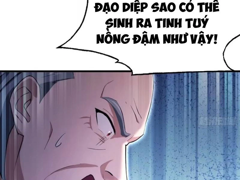 Hoá Ra Ta Đã Vô Địch Từ Lâu Chapter 205 - Trang 4