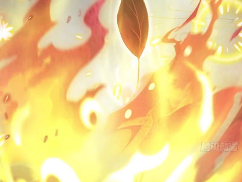 Hoá Ra Ta Đã Vô Địch Từ Lâu Chapter 205 - Trang 4