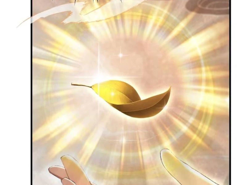 Hoá Ra Ta Đã Vô Địch Từ Lâu Chapter 205 - Trang 4