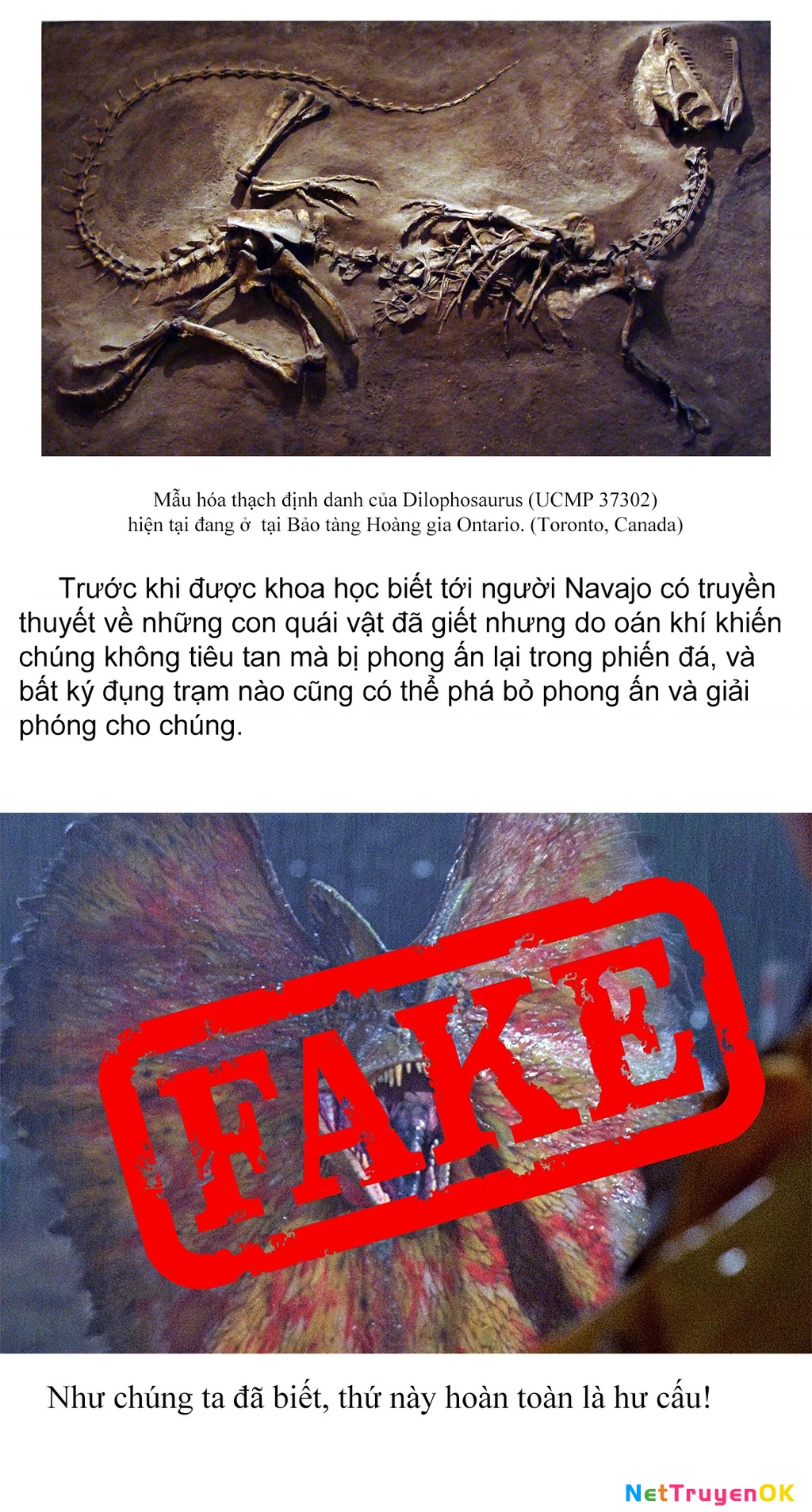 Khu bảo tồn khủng long Chapter 5 - Trang 2