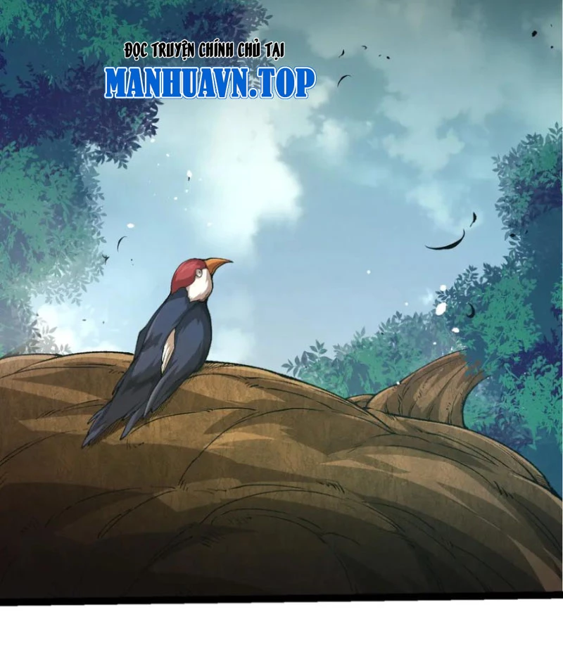 Chuyển Sinh Thành Liễu Đột Biến Chapter 299 - Trang 4