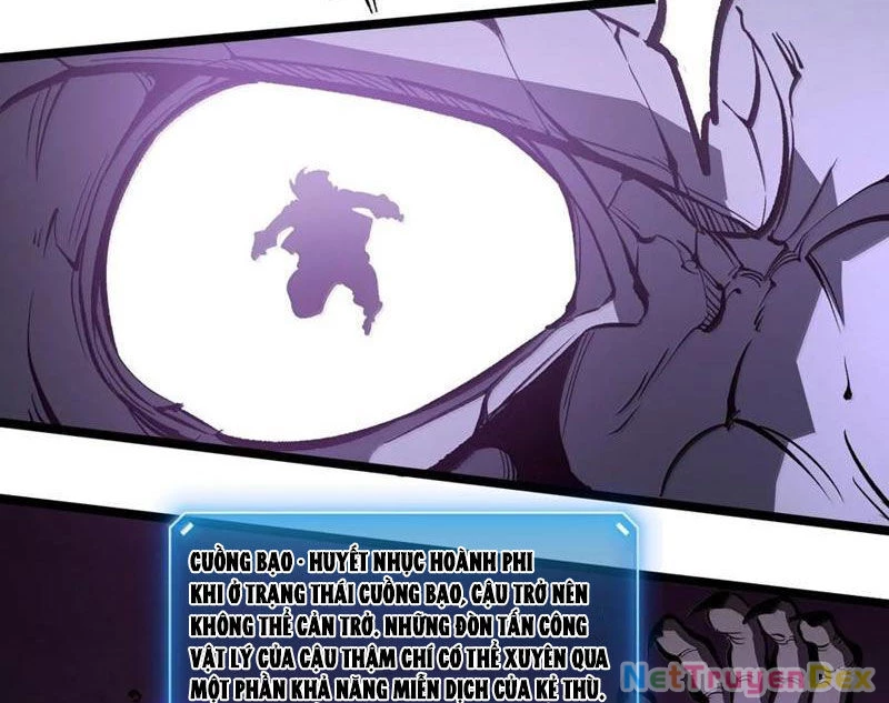 Ta Nhặt Rác Thượng Vương Giả Chapter 39 - Trang 4