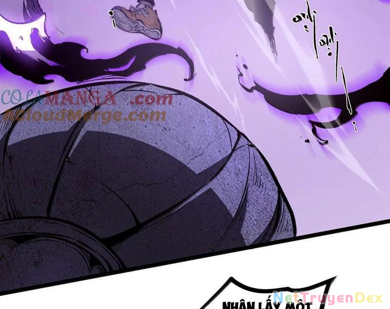 Ta Nhặt Rác Thượng Vương Giả Chapter 39 - Trang 4