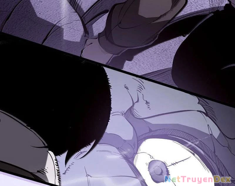 Ta Nhặt Rác Thượng Vương Giả Chapter 39 - Trang 4