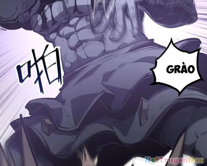 Ta Nhặt Rác Thượng Vương Giả Chapter 39 - Trang 4