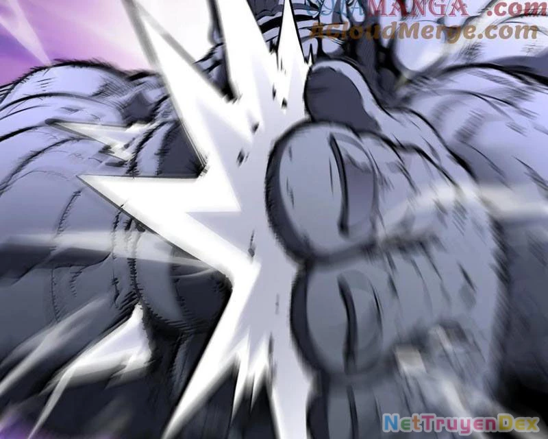 Ta Nhặt Rác Thượng Vương Giả Chapter 39 - Trang 4