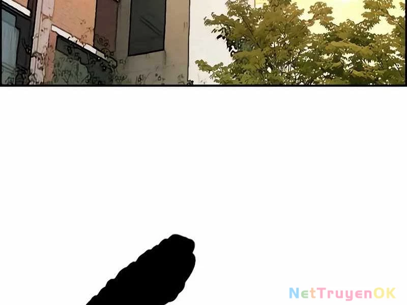 Thể Thao Cực Hạn Chapter 524 - Next Chapter 525