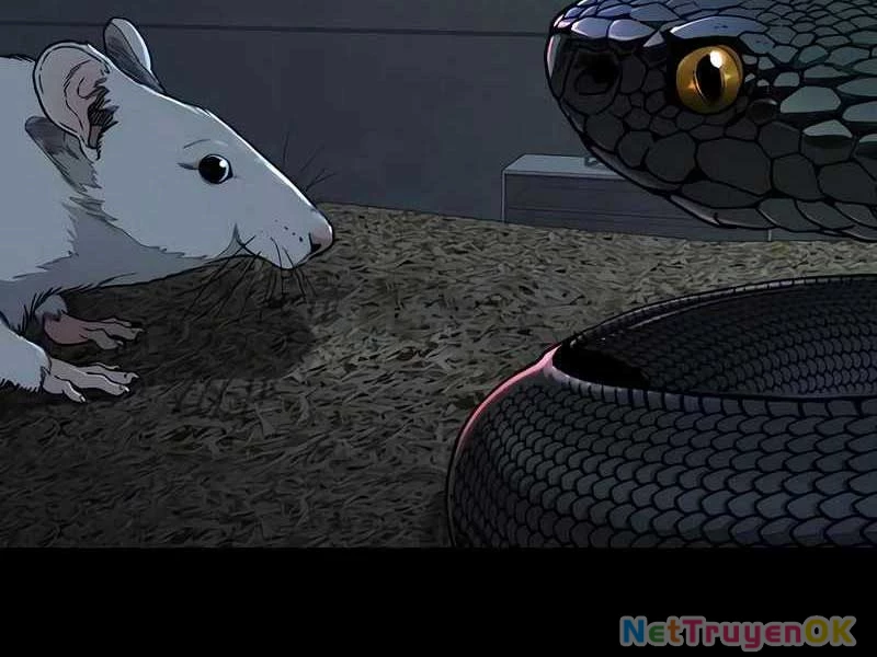 Thể Thao Cực Hạn Chapter 524 - Next Chapter 525