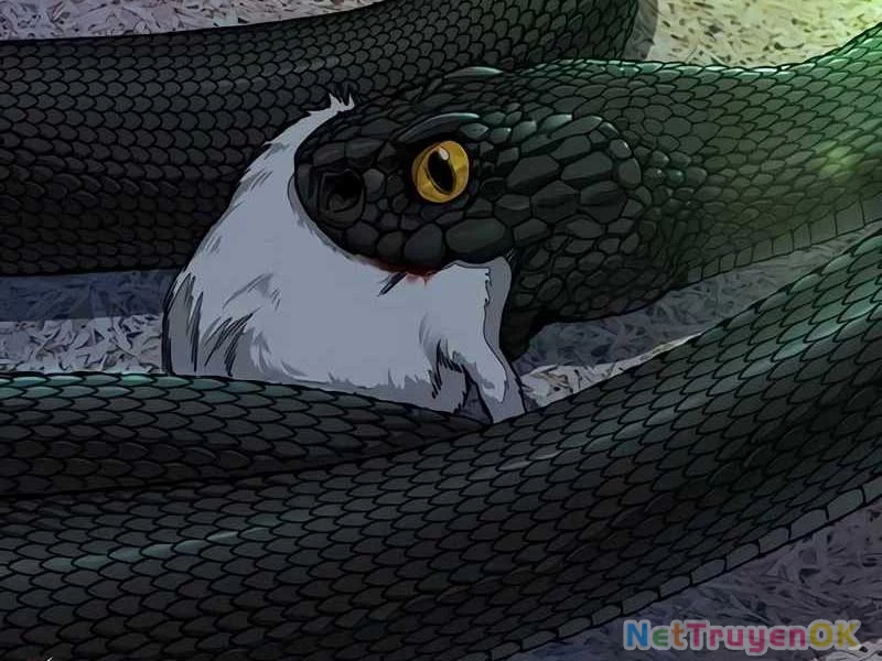 Thể Thao Cực Hạn Chapter 524 - Next Chapter 525